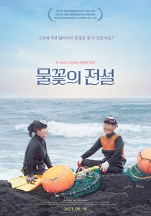 [인터뷰] “98세 해녀가 애인처럼 바라본 제주 바다 담고 싶었어요” <물꽃의 전설> 고희영 감독