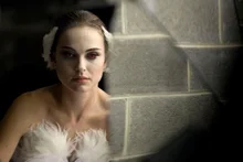 이건 폼 미쳤다 수준을 넘었는데? 영혼까지 갈아 넣은 예술혼을 보여준 세 편의 영화