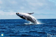 “영화로 행동 변화 이끌어내고자 한다” 세계 환경의 날 맞아 제21회 서울국제환경영화제 개최