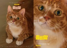 [韓国ボックスオフィス] 映画『ゾンビ娘』4週目の興行…予約率1位は『鬼滅の刃』