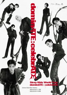 Stray Kids，於仁川舉行世界巡演總決賽演出