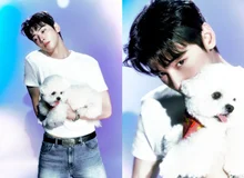 Cha Eun-woo + Dog Combination! Cha Eun-woo Reveals ‘Sweet Papaya’ Concept Photos with His Pet Dongdong