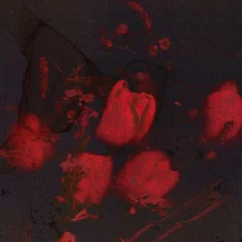 Kim Pil, Comeback Today (8th)... Actor Park Hee-soon Appears in Music Video