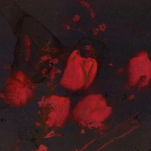 Kim Pil Returns with New Song 'Dry Flower'!