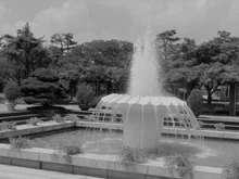 [인터뷰] 〈공원에서〉 손구용 감독