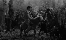 '감각에 집중한 영화적 체험', 칸 감독상 〈그랜드 투어〉 26일 개봉