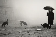 [Photo &] 'Sátántangó' Master Béla Tarr... His Unique Visual Legacy and Cinematic Moments