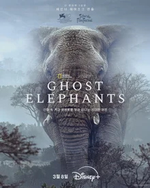 거장 베르너 헤어조크가 포착한 신비... '고스트 엘리펀츠' 3월 8일 디즈니+ 공개