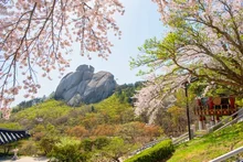 BTS·孫載的選擇之處…江原高城：電視劇·電影·MV 再度取景「K 內容聖地」躍升