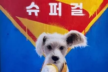 Se estrena el 24 de junio ‘Supergirl’: pop up espacial en Yeonnam-dong y evento online participativo para conquistar a los espectadores