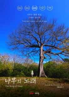 唯一無二の地球映像祭 開幕作「木の歌」… サッカー場3千個分の森を育てた88歳の女性