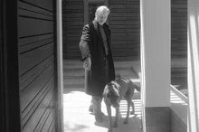La «Odisea» de Nolan revela los secretos de su amor por los perros, capaz de emocionar hasta las lágrimas