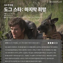 [Premières réactions] « The Dog Stars : Dernier espoir » : l’avis noté du journaliste de Cineplay
