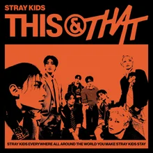 Stray Kids《THIS & THAT》20天銷量突破5萬張　征服法國締造佳績，獲唱片業協會金唱片認證