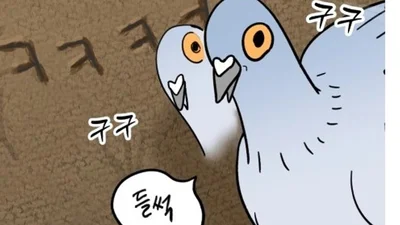[성찬얼의 만화책] 하루아침에 비둘기가 된 내가 동창과의 동거를 하게 됐다고?! 「성북구 비둘기 이헌서」
