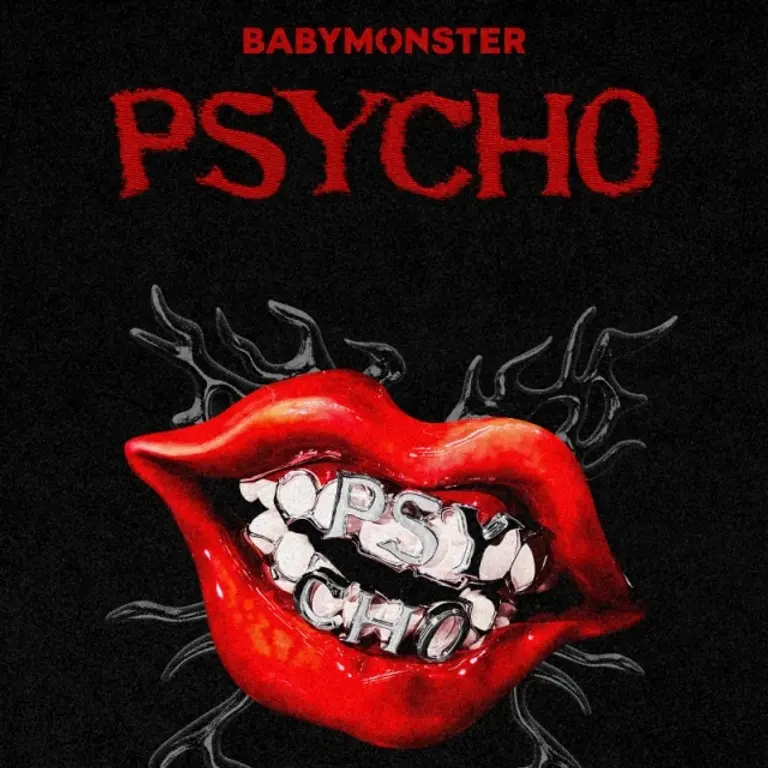 BABYMONSTER PSYCHO パーカー babymonster BABYMONSTER psycho PSYCHO