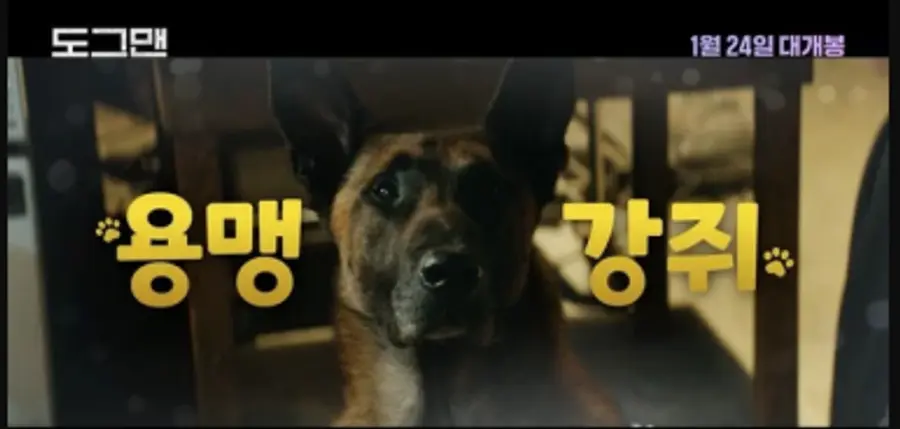 행동 대장을 맡은 강아지