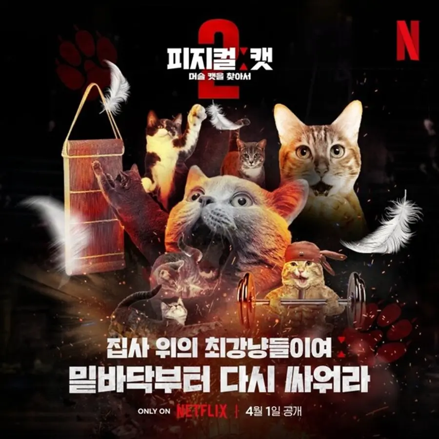 〈피지컬: 캣〉 이미지