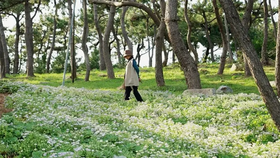〈땅에 쓰는 시〉스틸컷