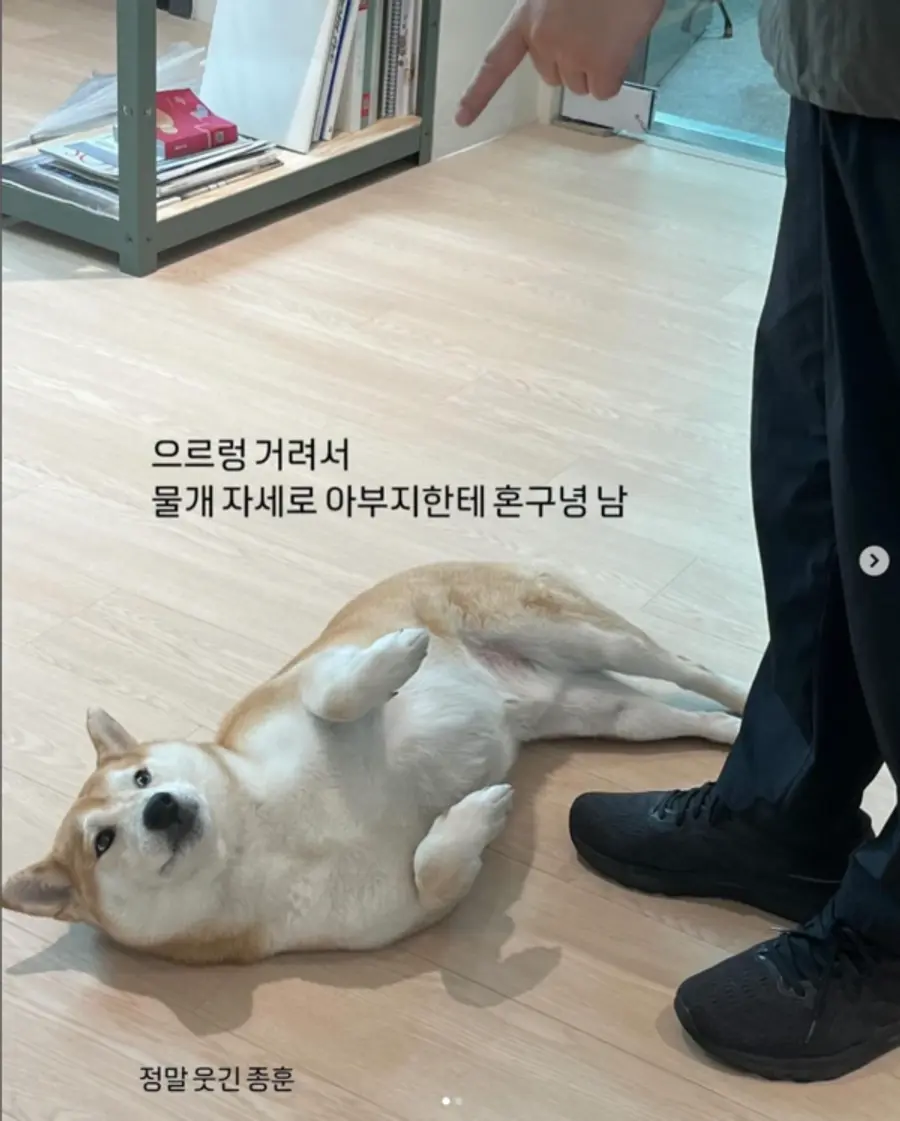 〈〉