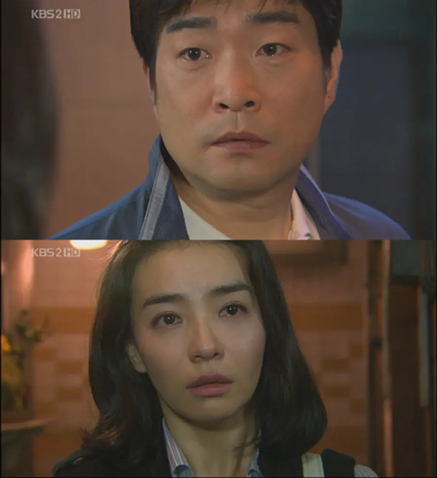 〈솔약국집 아들들〉 진풍-수진의 서사는 시청자들의 눈물샘을 자극했다.