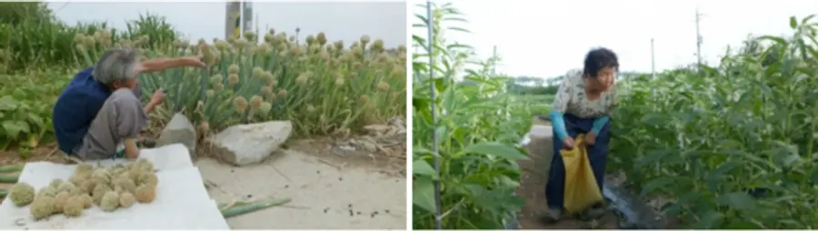 고 윤규상 농부(왼), 장귀덕 농부 -〈씨앗의 시간〉