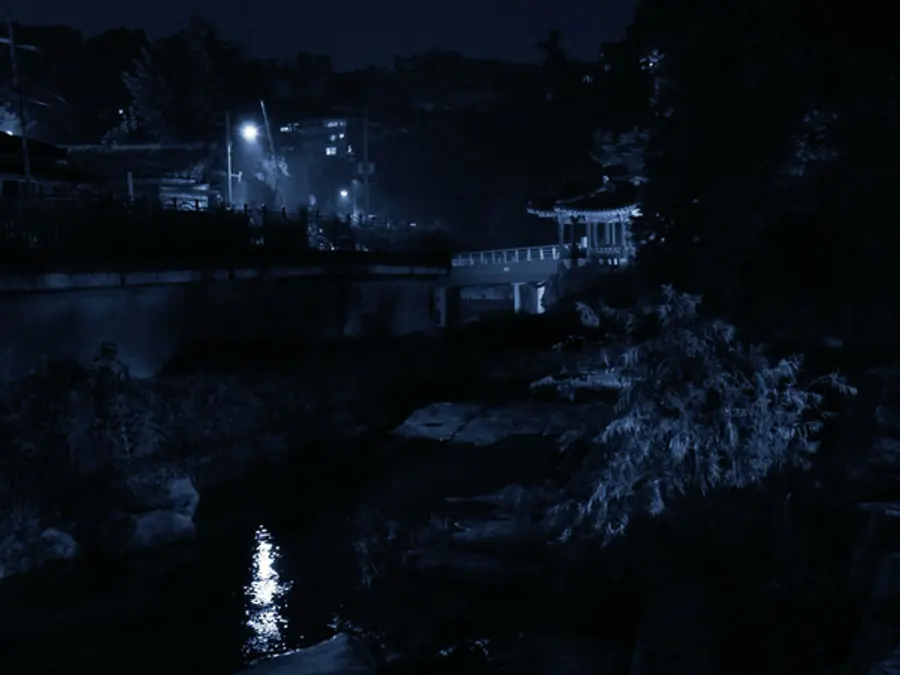 〈밤 산책〉