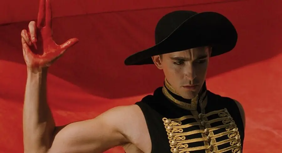 〈더 폴: 디렉터스 컷〉