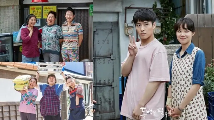 〈동백꽃 필 무렵〉 게장 골목 아지매 3인방(왼), 용식(강하늘)과 동백