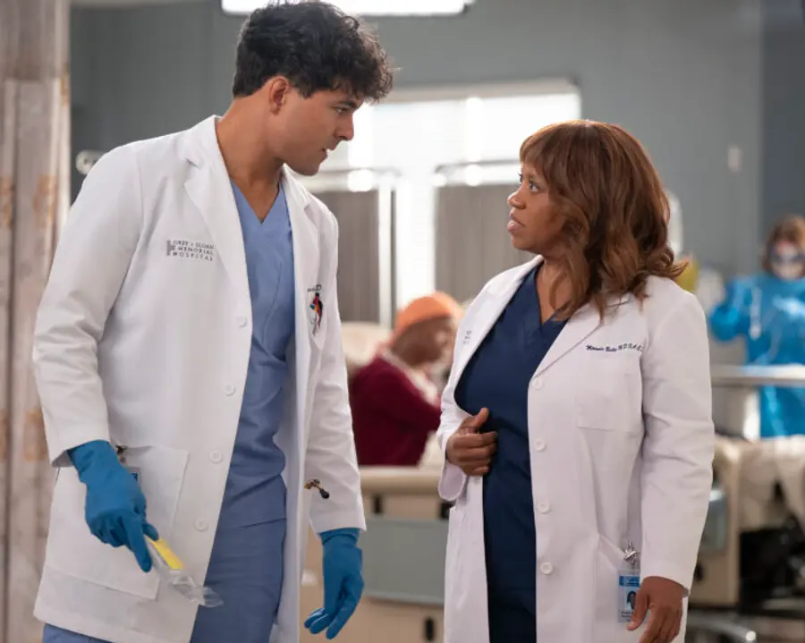 'Grey's Anatomy 22'