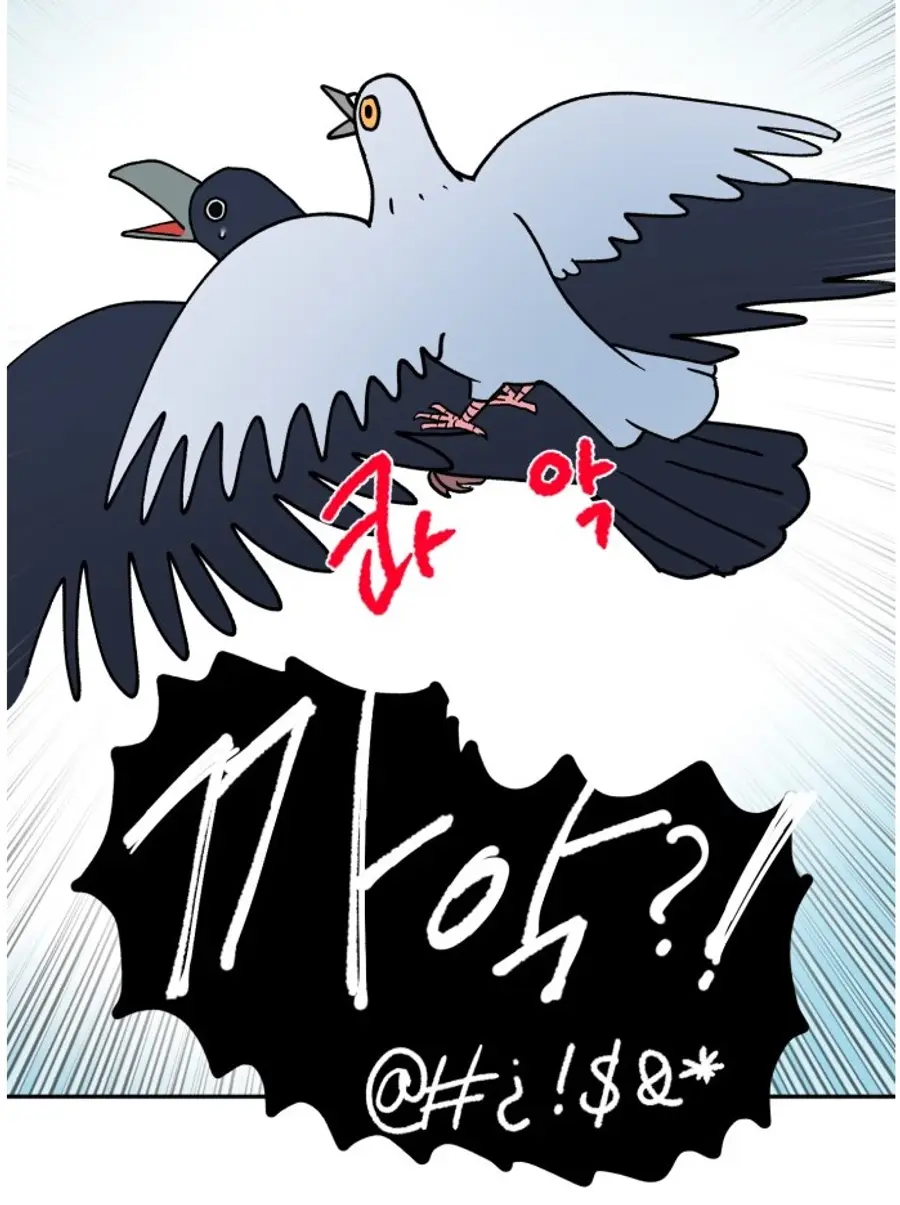 「ソンブク区の鳩イ・ホンソ」