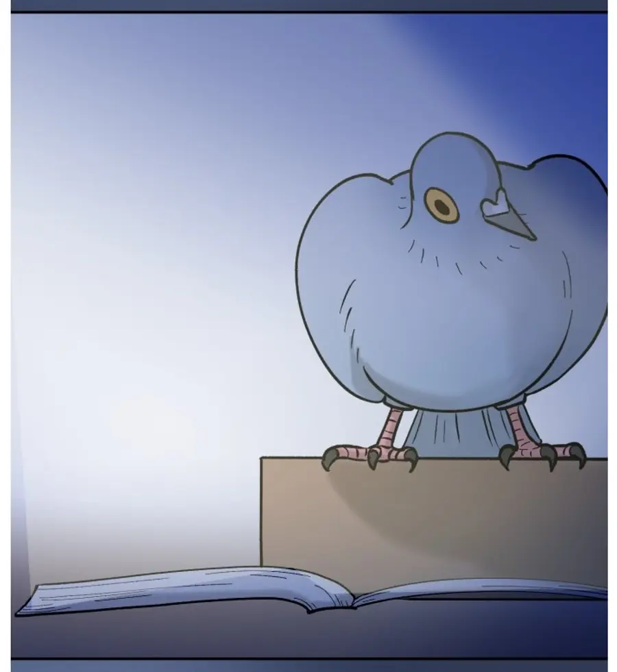「ソンブク区の鳩イ・ホンソ」