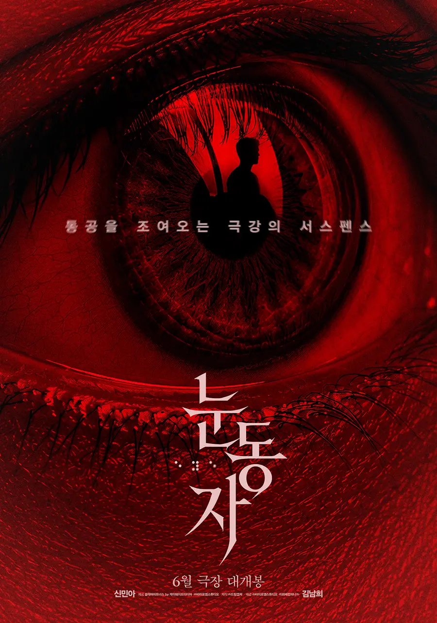 〈Eye Pupils〉