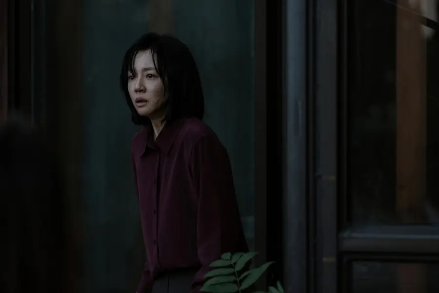 〈Shadow Child〉 Im Soo-jung as Geum-ok