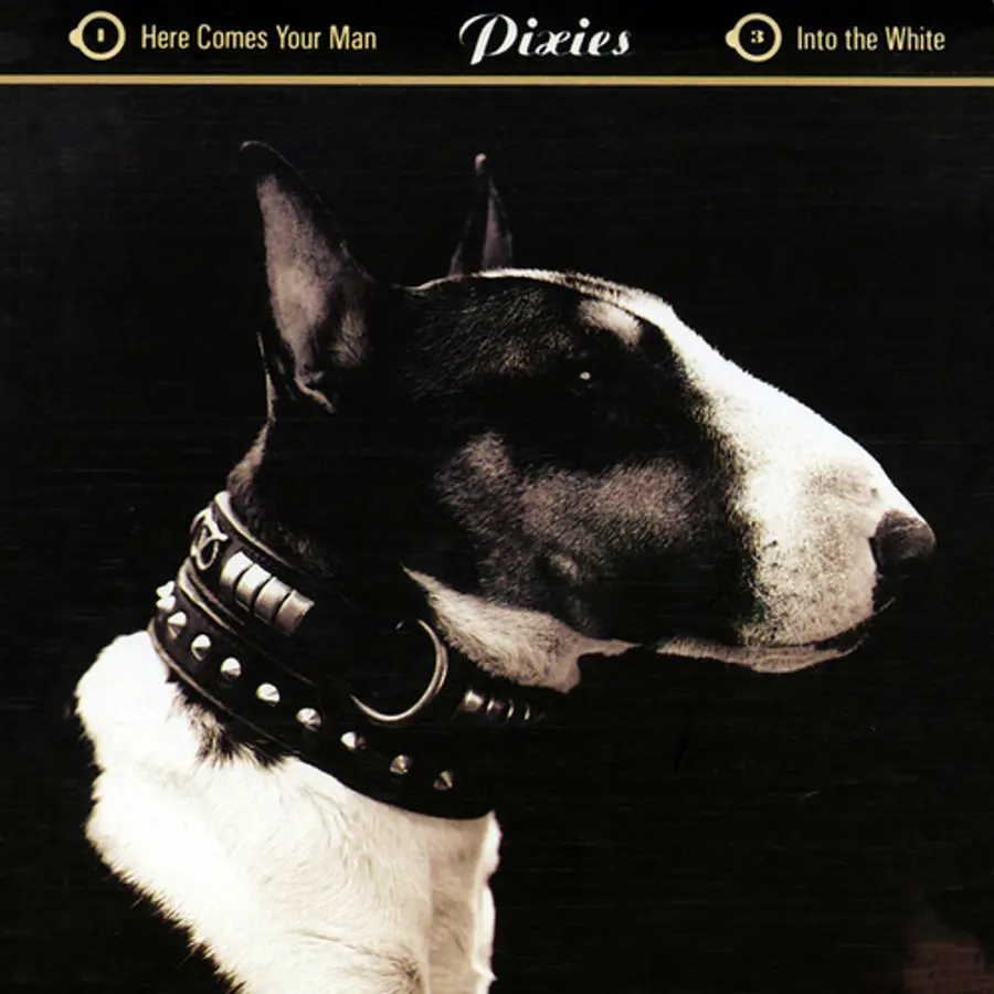 Pixies — 'Here Comes Your Man'
