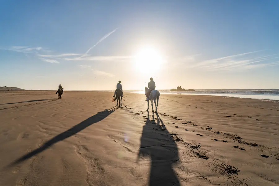 Essaouira [provided by Morocco's national tourism office]