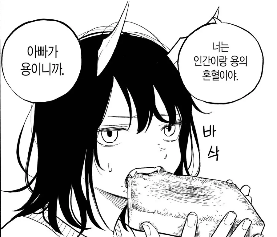 Revealing the secret of her birth from chapter 1(?) 「Ruri Dragon」