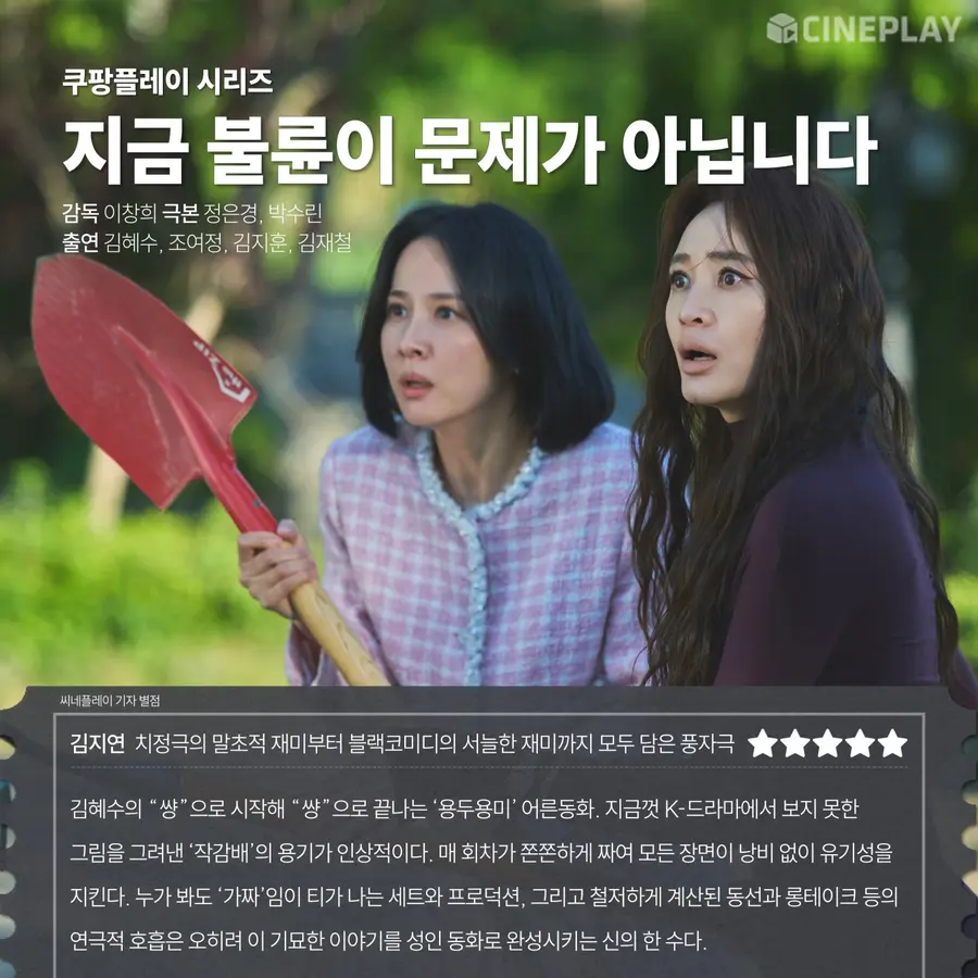 〈An Affair Isn’t the Issue Right Now〉 Cineplay critic rating