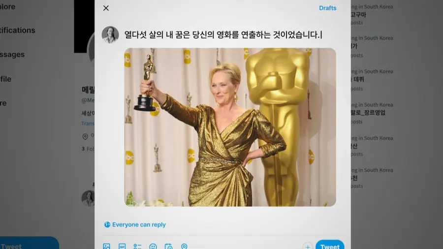 〈The Meryl Streep Project〉